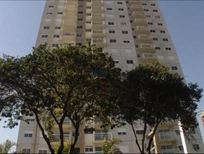 imagem-miniatura
